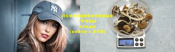 трава Арсеньев