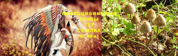 дмт Баксан