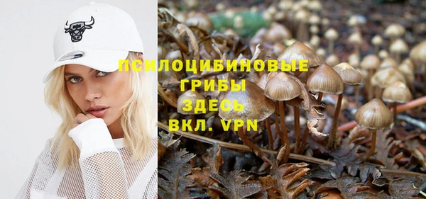первитин Армянск