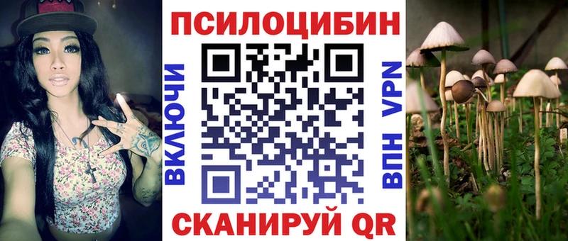 Псилоцибиновые грибы Psilocybe  купить   Петушки 